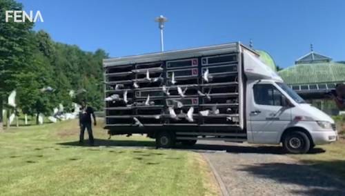 Više od 600 golubova poletjelo iznad bijelih nišana u Potočarima