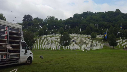 Memorijalni let golubova za žrtve genocida u Srebrenici