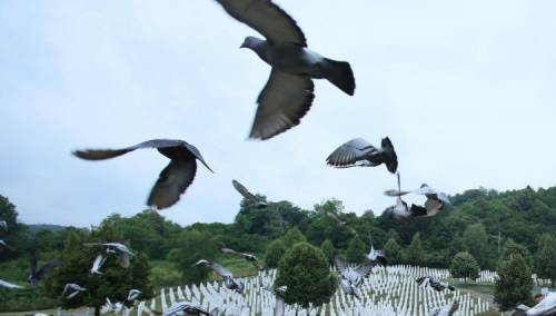 Memorijalni let golubova za žrtve genocida u Srebrenici