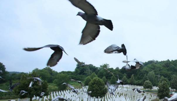 Memorijalni let golubova za žrtve genocida u Srebrenici