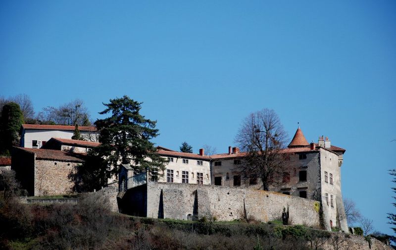 Mentalni bolesnici u hladnjaku i teglama za cvijeće držali 60 mrtvih mačaka
