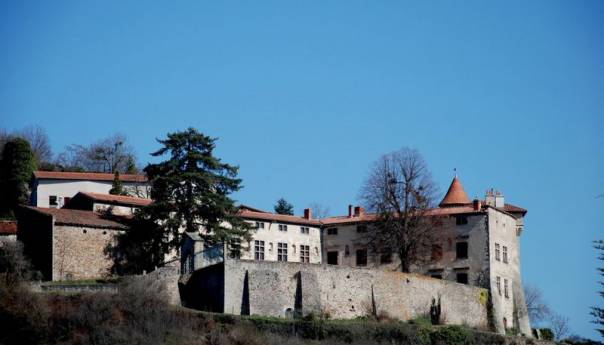 Mentalni bolesnici u hladnjaku i teglama za cvijeće držali 60 mrtvih mačaka
