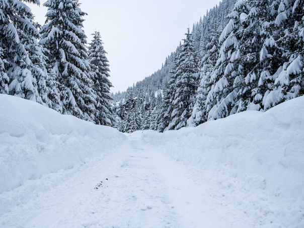 Meteorolozi za ovu sedmicu najavljuju prve pahulje, ali i toplinu juga