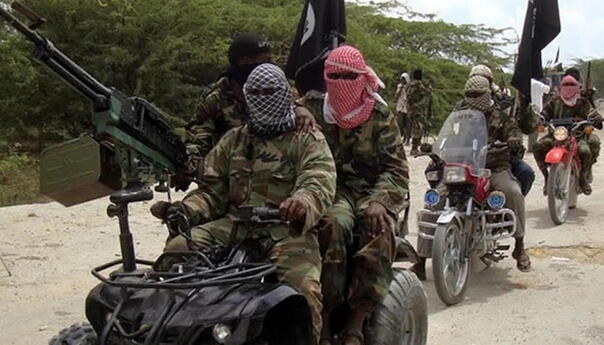 Militanti Boko Harama odrubili glave desetorici farmera u Nigeriji