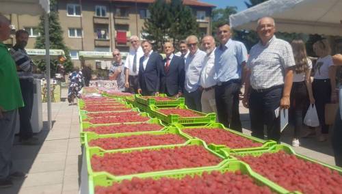 Ministar Dedić otvorio 'Dane maline': Potražnja za bh. malinama u porastu