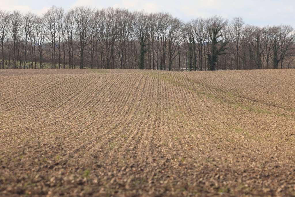 Ministarstvo privrede KS objavilo javni poziv za uređenje poljoprivrednog zemljišta