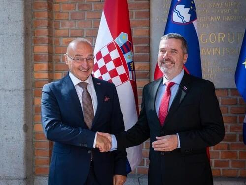 Hrvatska i Slovenija osudile Mladićev doček u Beogradu