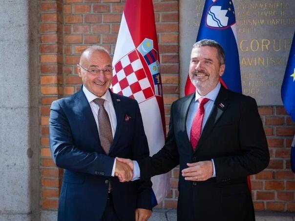 Hrvatska i Slovenija osudile Mladićev doček u Beogradu