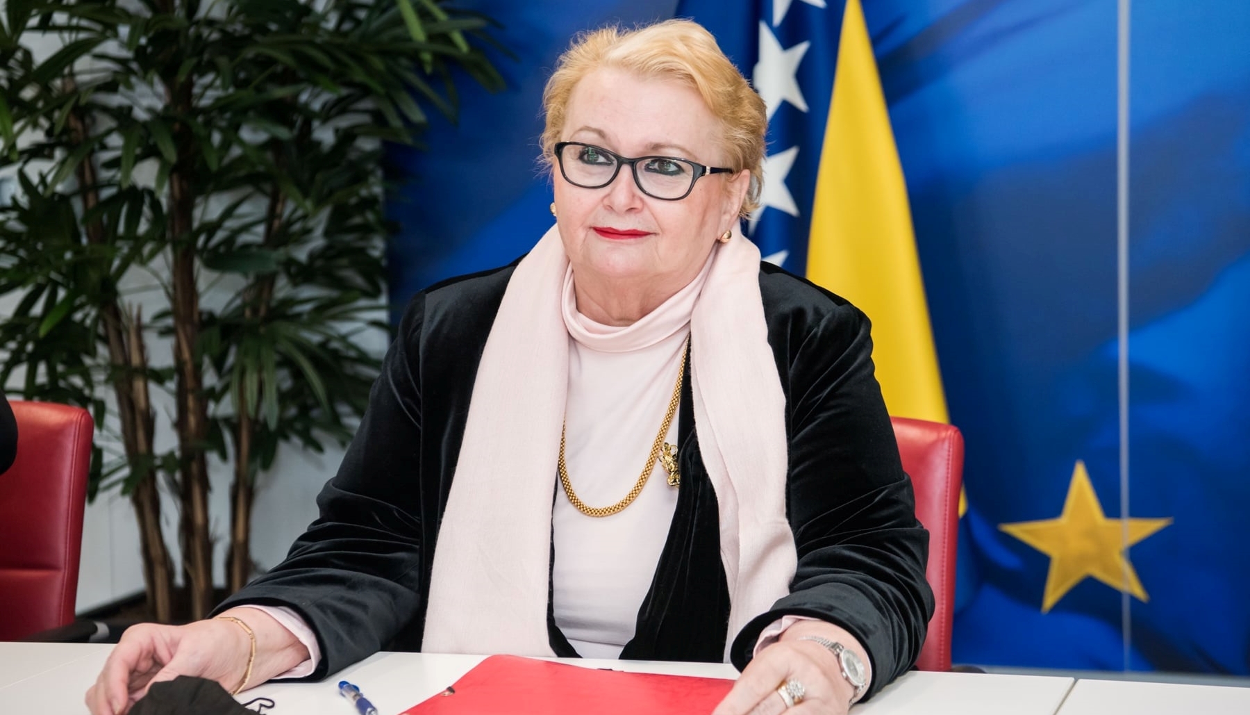 Ministrica Turković traži zabranu leta ruskim avionima u zračnom prostoru BiH