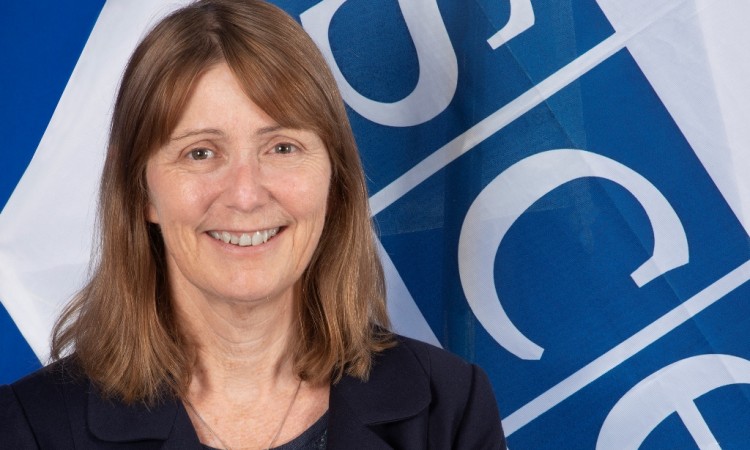 Misija OSCE-a i britanska ambasada u BiH osuđuju napade i pritiske na novinare