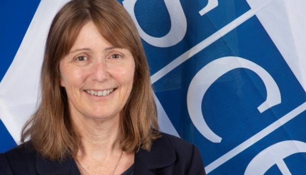 Misija OSCE-a i britanska ambasada u BiH osuđuju napade i pritiske na novinare