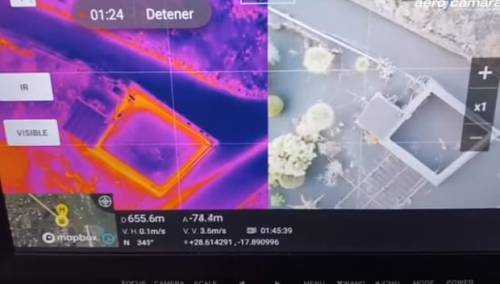 Misteriozni nestanak pasa na vulkanskom otoku