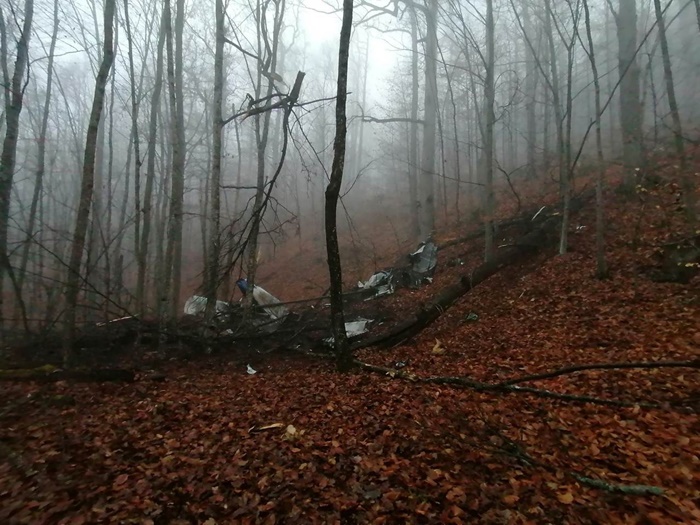 Mitrović imenovao komisiju za istragu pada aviona