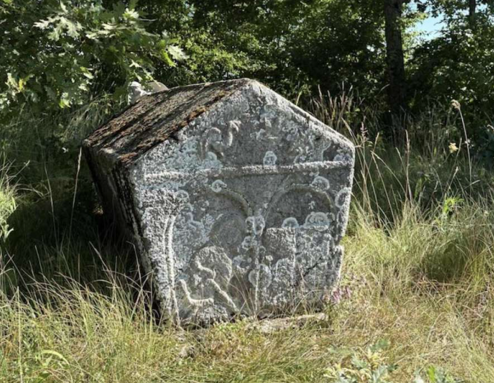 Mladi iz tri zemlje mapirali više od 250 lokaliteta stećaka