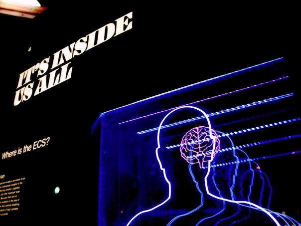 Mladi u opasnosti od digitalne demencije