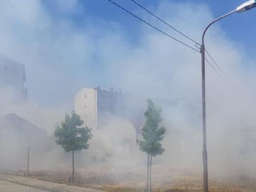 ISPRAVKA: Vijest o paljenju srca od trave koju je "osujetio" njen muž je satira