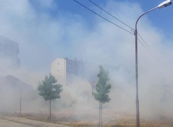 ISPRAVKA: Vijest o paljenju srca od trave koju je "osujetio" njen muž je satira