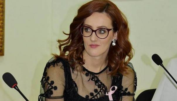 Mlinarević: Češka zabranila napuštanje zemlje od ponedjeljka