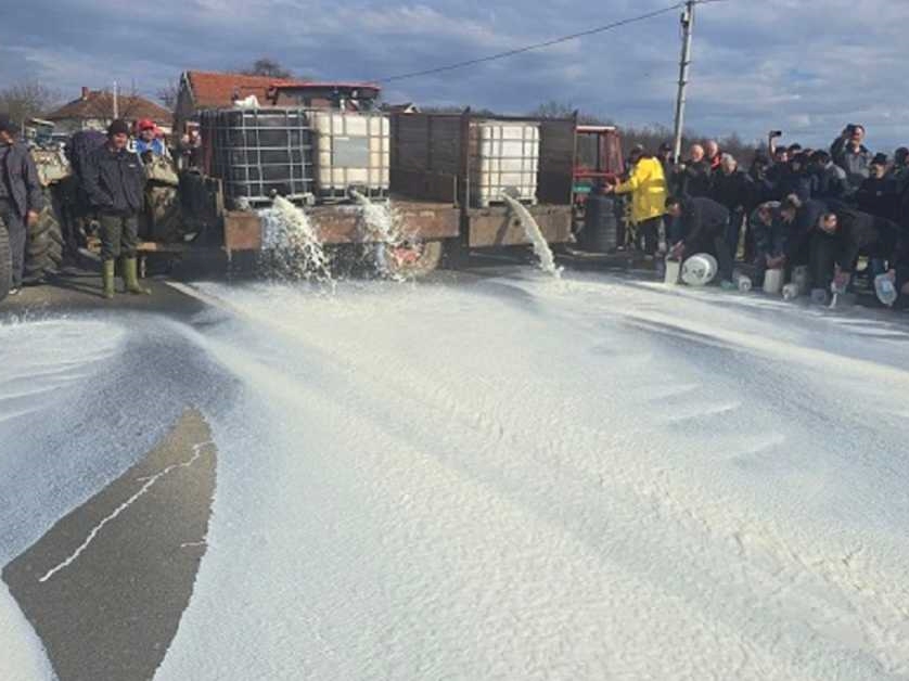 Mljekari blokirali Ibarsku magistralu: Prosuto 5.000 litara mlijeka