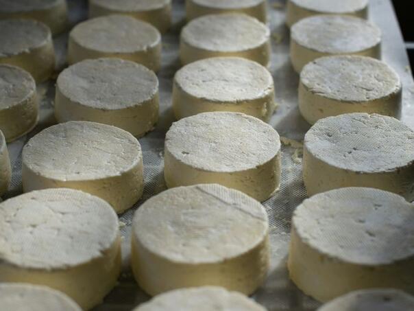 Mljekari iz RS upozoravaju: Sumnja na lažne sireve