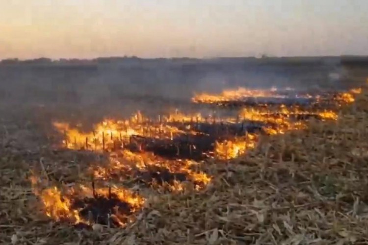 Modriča: Palio nisko rastinje na parceli, vatra mu zahvatila nogu
