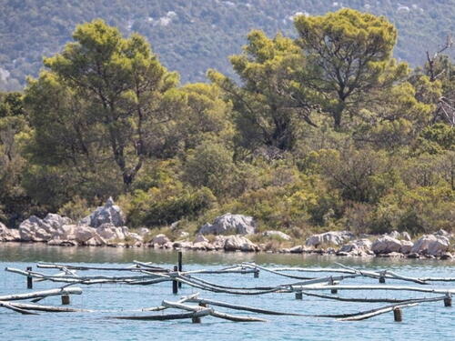 More na plaži u Stonu zagađeno fekalijama: Kupanje se ne preporučuje do daljnjeg