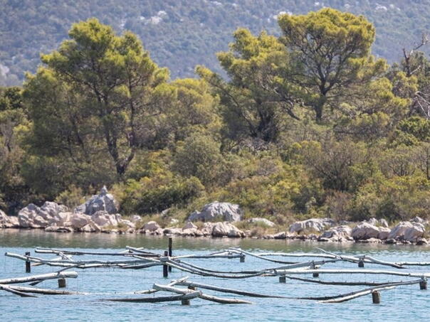 More na plaži u Stonu zagađeno fekalijama: Kupanje se ne preporučuje do daljnjeg