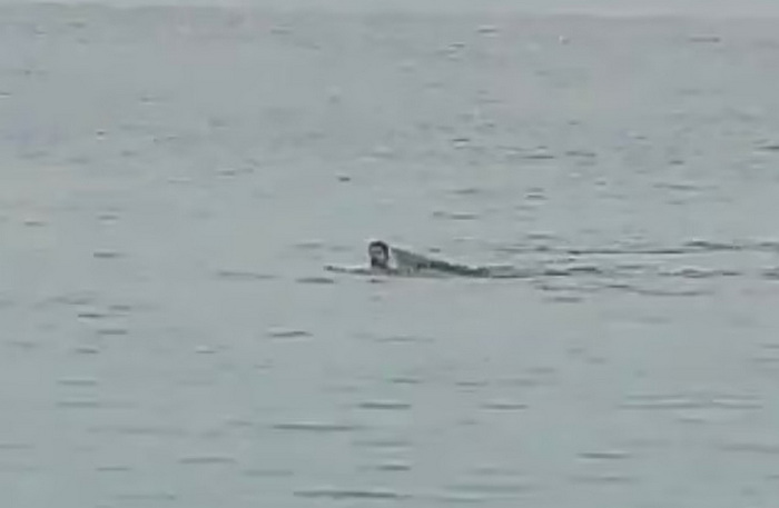 Morski pas ubio Rusa u egipatskom gradu Hurghada