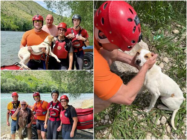 Mostar: Nesebičnom akcijom spašen pas na Bunskim kanalima