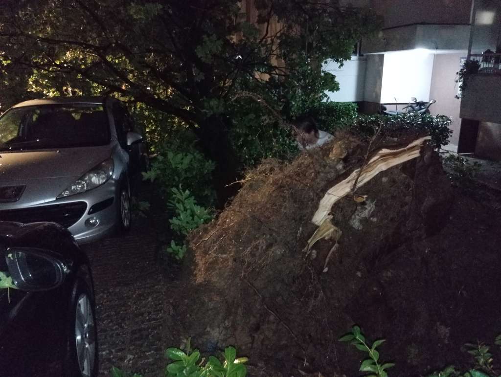 Mostar: Vatrogasci intervenisali 14 puta, preporučuje se prokuhavanje vode
