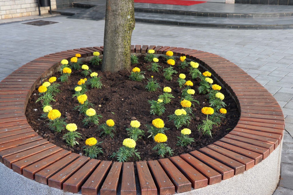 Mostarski komunalci sade cvijeće