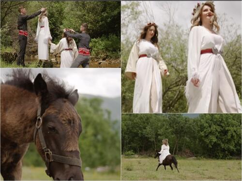 Mostarski studenti na misiji očuvanja autohtone bosanske brdske pasmine konja