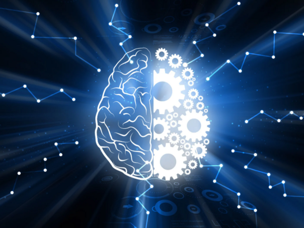 Mozak može da zadrži određeni stepen svijesti satima nakon smrti