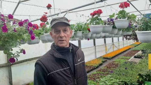 Munir Kazagić ove godine utrostručio proizvodnju cvijeća