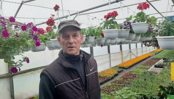 Munir Kazagić ove godine utrostručio proizvodnju cvijeća