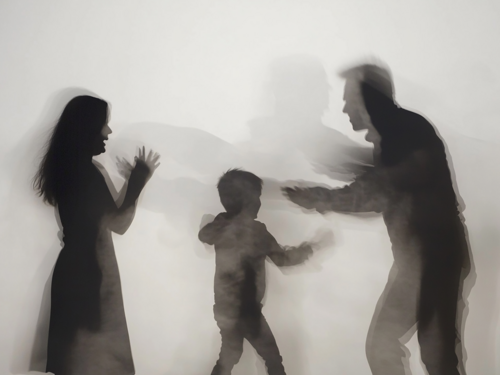 MUP CG: Sedam života izgubljeno zbog nasilja u porodici