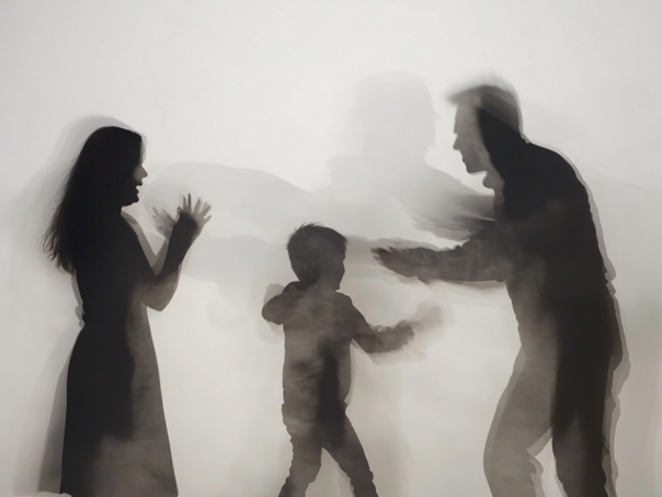 MUP CG: Sedam života izgubljeno zbog nasilja u porodici