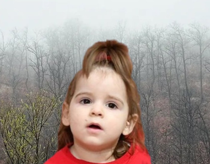 MUP Srbije uputio hitan apel Srbima u Beču: Ako vidite dijete sa biljegom...