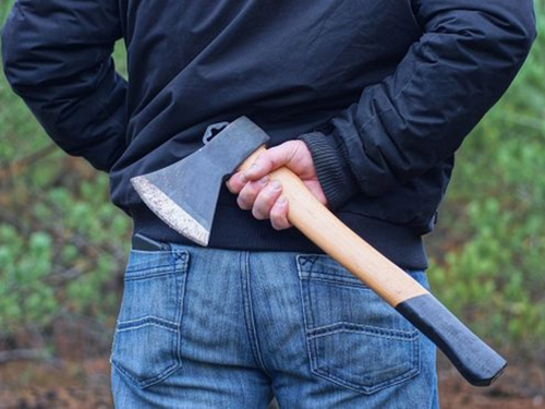 Muškarac hodao sa sjekirom pa napao policijskog službenika