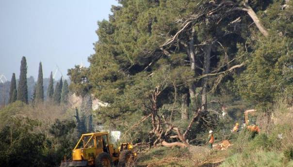 Muškarac poginuo prilikom sječe šume u Gradiški