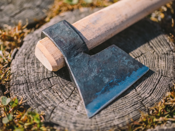 Muškarcu koji je pomjerio dva koca od ograde prijetili klanjem pred djetetom