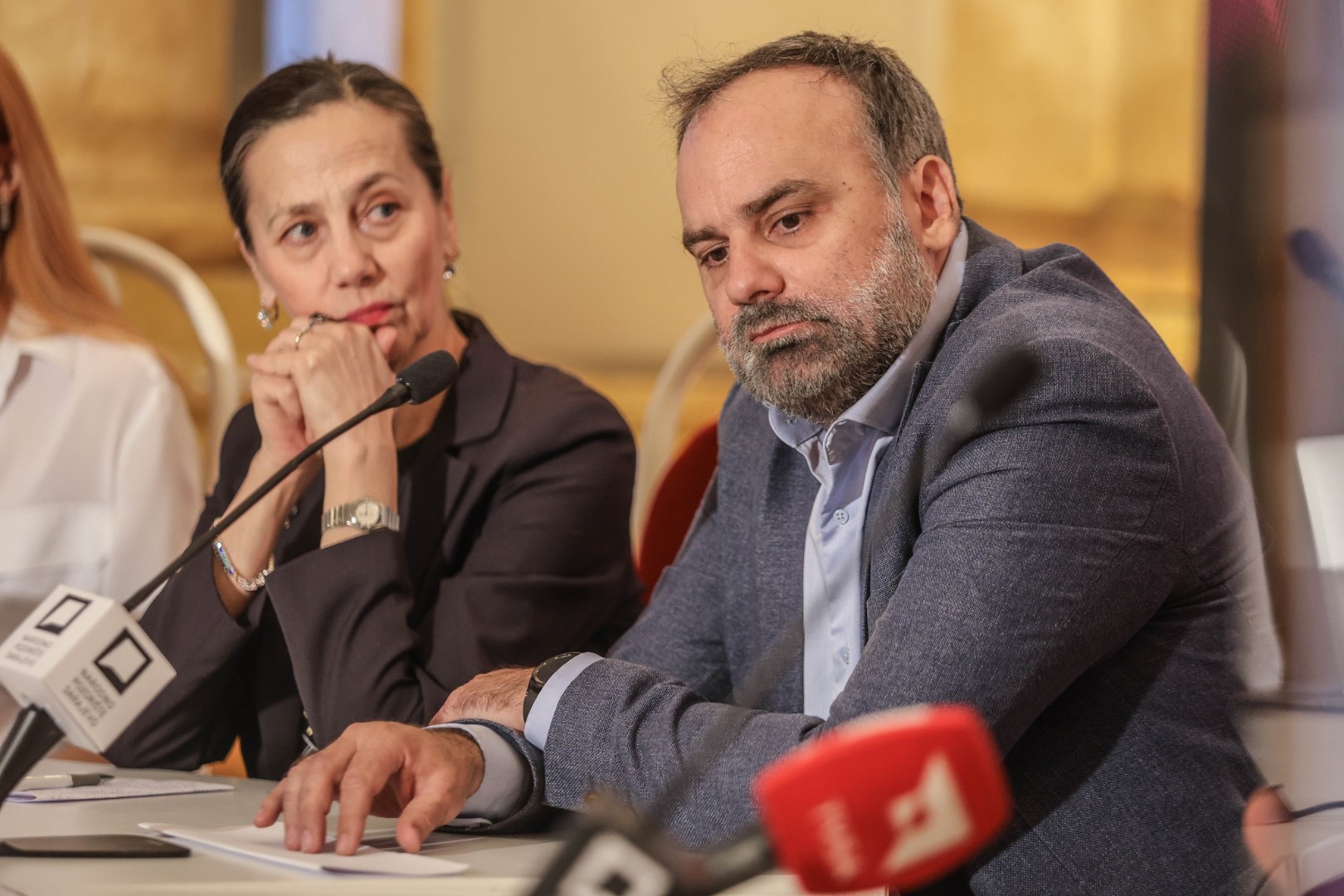Mustafić: Najuspješniji period NPS u postdejtonskoj BiH