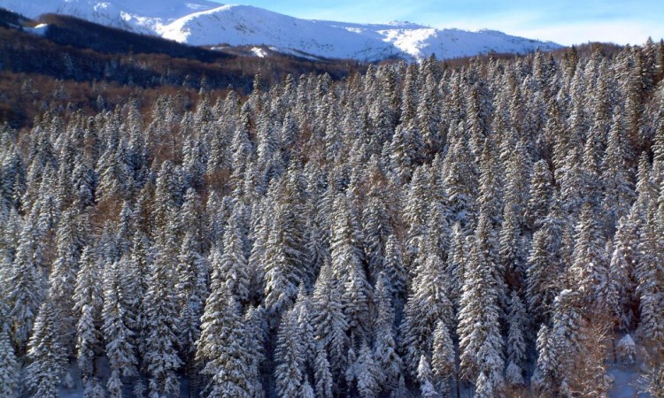 Na Bjelašnici jutros minus 11, u Neumu plus 7 stepeni