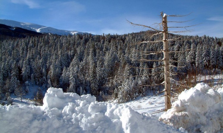Na Bjelašnici minus 10 stepeni, danas u Bosni oblačno, u Hercegovini sunčano