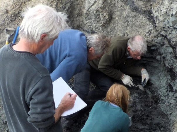 Na britanskom otoku otkriven fosil dinosaurusa