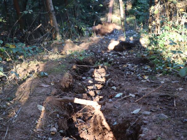 Na Curinim njivama i Bistričkom potoku 24-satno osmatranje terena