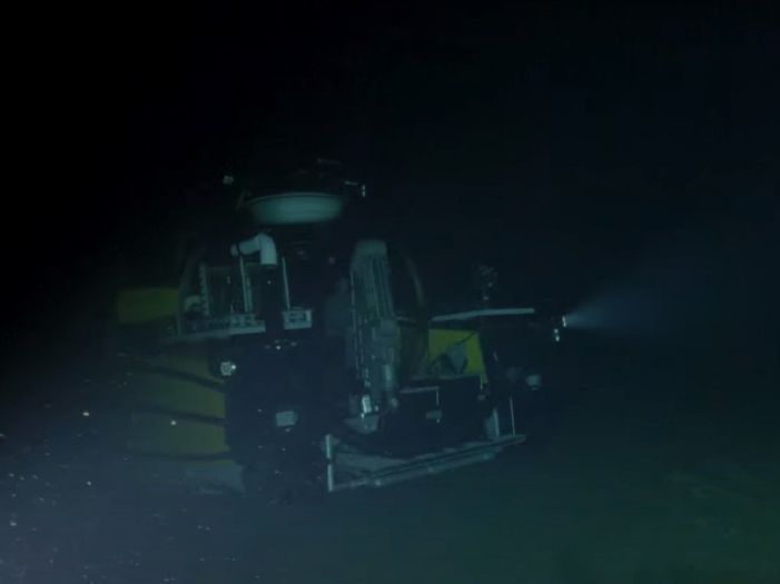 Na dnu okeana snimljena jedna od najjezivijih životinja na svijetu