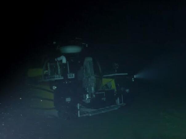 Na dnu okeana snimljena jedna od najjezivijih životinja na svijetu