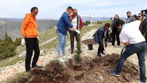 Na Fortici posađeno prvih deset od hiljadu planiranih stabala