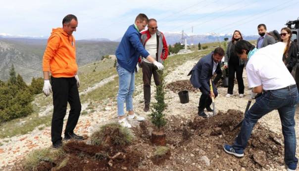 Na Fortici posađeno prvih deset od hiljadu planiranih stabala